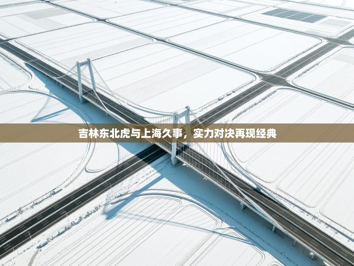 开云登录-吉林东北虎与上海久事，实力对决再现经典  第1张