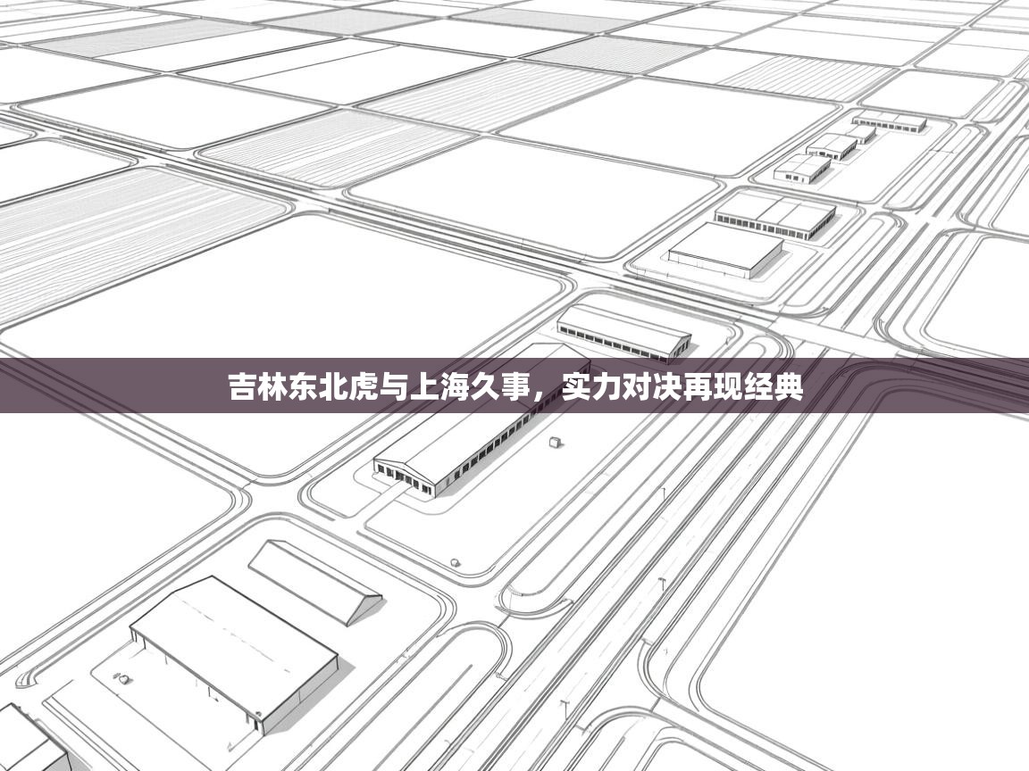 开云登录-吉林东北虎与上海久事，实力对决再现经典  第2张