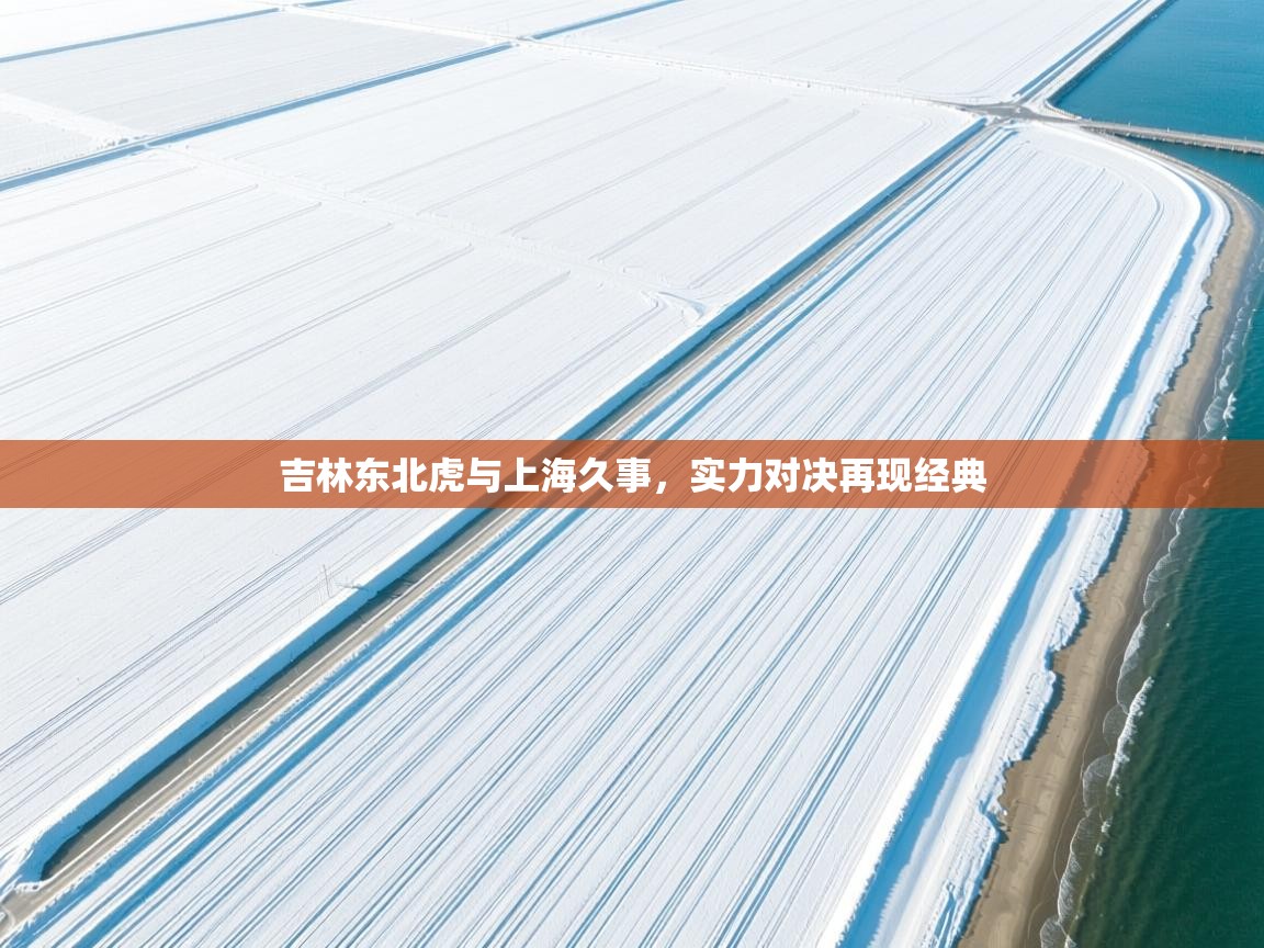 开云登录-吉林东北虎与上海久事，实力对决再现经典  第3张