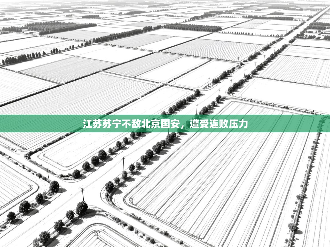 云开体育官网入口登录网页-江苏苏宁不敌北京国安,遭受连败压力 第2张