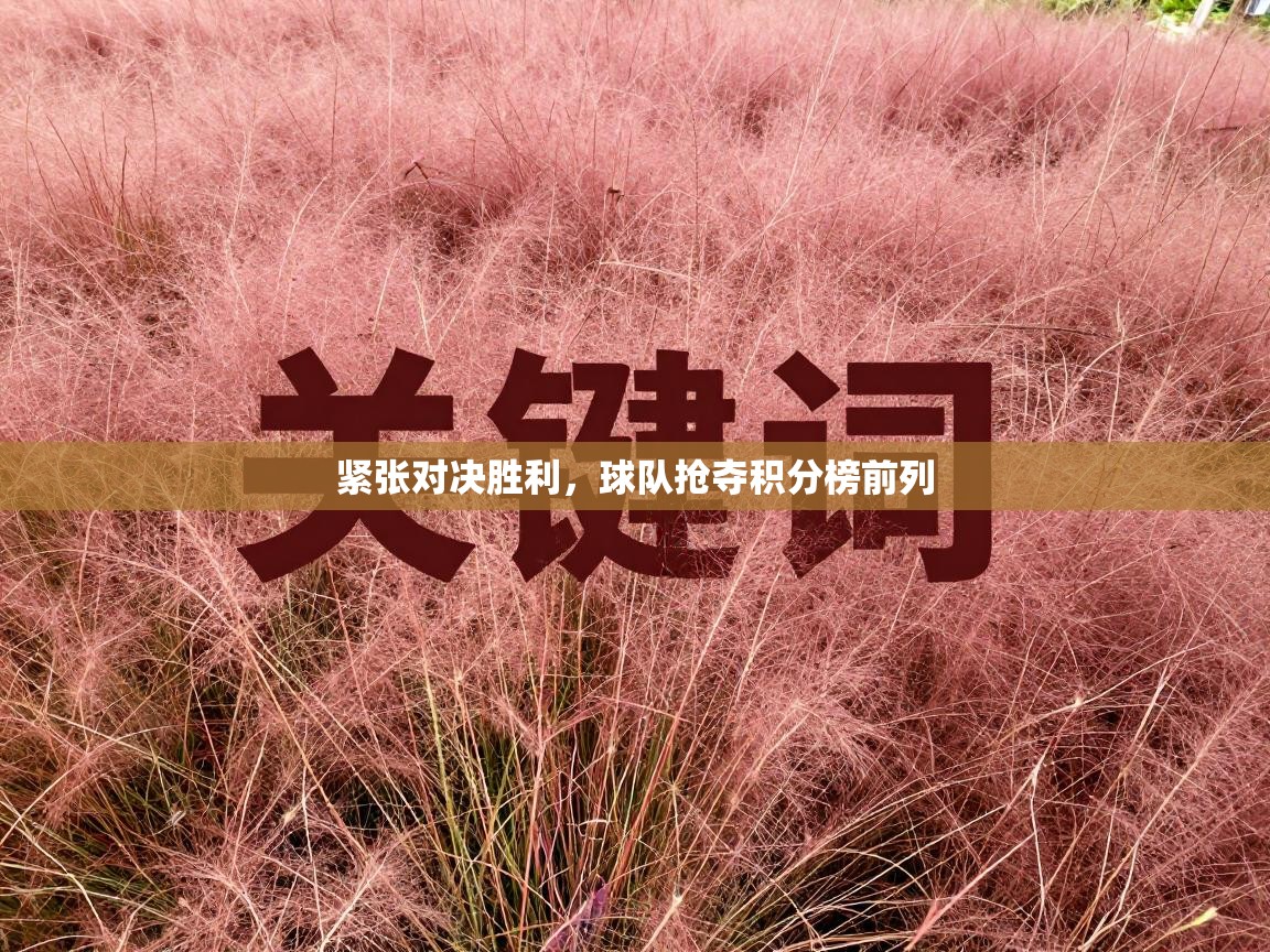 开云体育在线-紧张对决胜利，球队抢夺积分榜前列  第2张